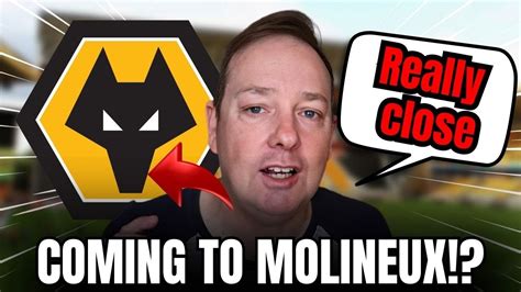 wolves news now